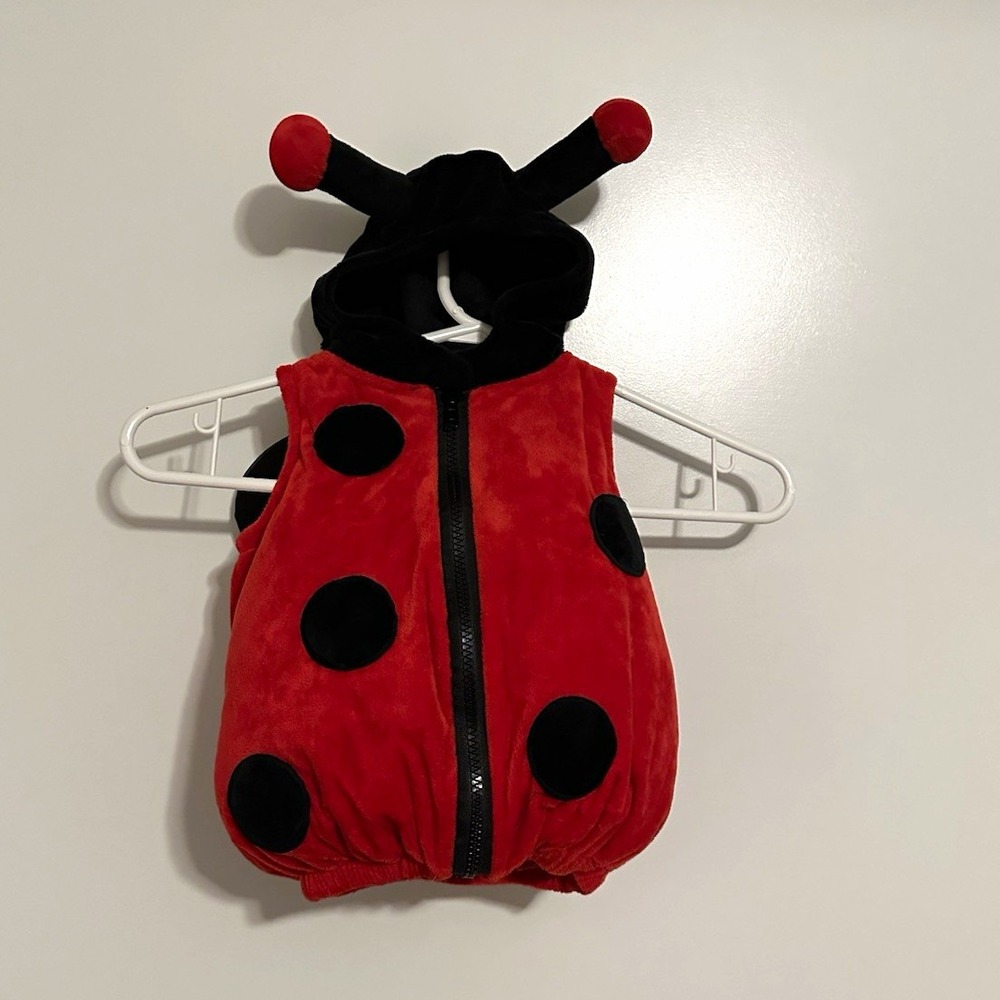 Dream Play Imagine Ladybug Hooded Zip-Up Outfit w/ Wings Red/Black 3-6M NWT